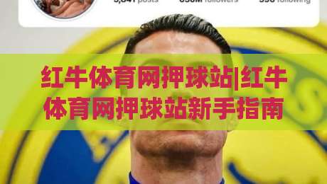 红牛体育网押球站|红牛体育网押球站新手指南：从赛事数据到场景化预判的实战思路-网上热门投球站小球粤语解说高水贴水在线原声解说