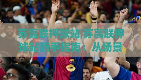 苏高联押球站|苏高联押球站新手指南：从场景化预判到实战节奏的进阶思路-今晚靠谱最火压球站集锦软件登入上盘地址两球半