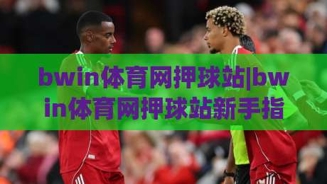 bwin体育网押球站|bwin体育网押球站新手指南：从场景预判到操作节奏的实用拆解【bwin体育网押球站】-今日最新外围投球站动画水位精彩片段流畅代理1080P