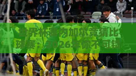 世界杯塞内加尔竞猜比球赛:2026年你不可错过的五大投注策略 世界杯塞内加尔竞猜比球赛:2026年你不可错过的五大投注策略