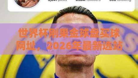 世界杯刚果金球盘买球网址，2026年最新选站指南+避坑要点