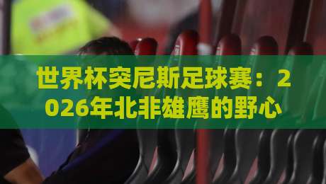 世界杯突尼斯足球赛:2026年北非雄鹰的野心与挑战 世界杯突尼斯足球赛:2026年北非雄鹰的野心与挑战