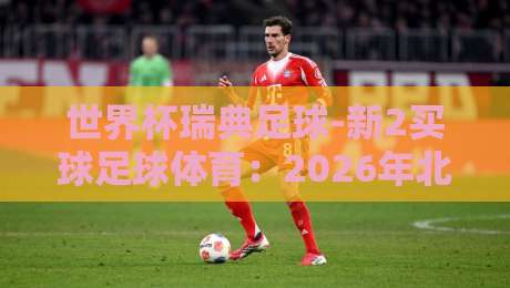 世界杯瑞典足球-新2买球足球体育:2026年北欧雄狮能否再现黑马奇迹? 世界杯瑞典足球-新2买球足球体育:2026年北欧雄狮能否再现黑马奇迹?
