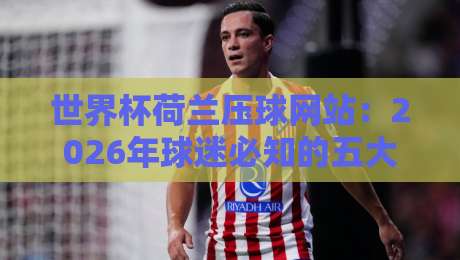 世界杯荷兰压球网站:2026年球迷必知的五大靠谱平台 世界杯荷兰压球网站:2026年球迷必知的五大靠谱平台