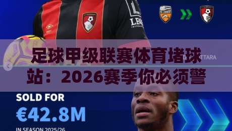 足球甲级联赛体育堵球站:2026赛季你必须警惕的三大陷阱与理性观赛指南 足球甲级联赛体育堵球站:2026赛季你必须警惕的三大陷阱与理性观赛指南