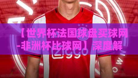 【世界杯法国球盘买球网-非洲杯比球网】深度解析：2026年两大赛事投注平台怎么选？