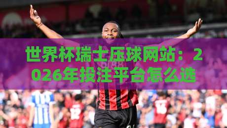 世界杯瑞士压球网站：2026年投注平台怎么选？讲真，你得留个心眼