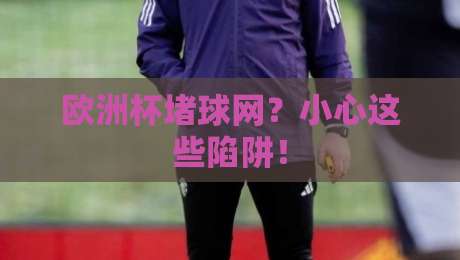欧洲杯堵球网?小心这些陷阱! 欧洲杯堵球网?小心这些陷阱!