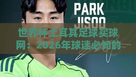 世界杯土耳其足球买球网：2026年球迷必知的三大趋势与风险