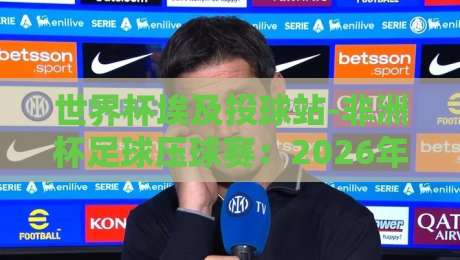 世界杯埃及投球站-非洲杯足球压球赛：2026年球迷必看的投注与观赛指南