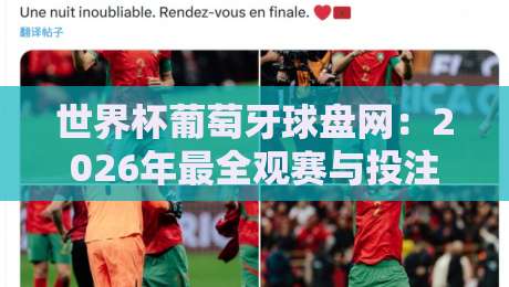 世界杯葡萄牙球盘网：2026年最全观赛与投注指南