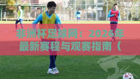 非洲杯足球网：2026年最新赛程与观赛指南（非洲杯足球网）独家解析
