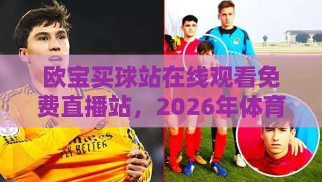 欧宝买球站在线观看免费直播站，2026年体育迷必收藏的观赛指南！