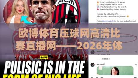 欧博体育压球网高清比赛直播网——2026年体育迷必看的五大实用技巧