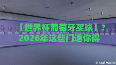 【世界杯葡萄牙买球】? 2026年这些门道你得搞清楚