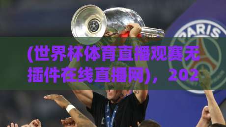 (世界杯体育直播观赛无插件在线直播网)，2026年球迷的终极观赛指南